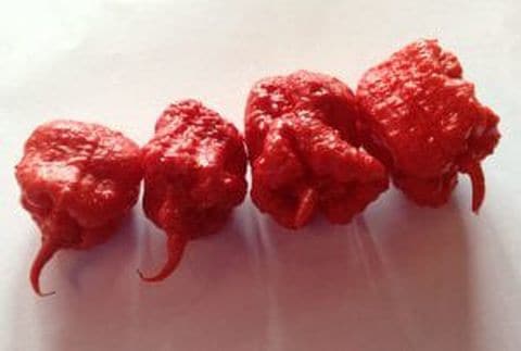 Man hospitalized after eating world’s hottest chilli pepper
